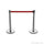 Basec BAS-SPS Silver Stainless Steel Stanchion –Isolated, 2Poles