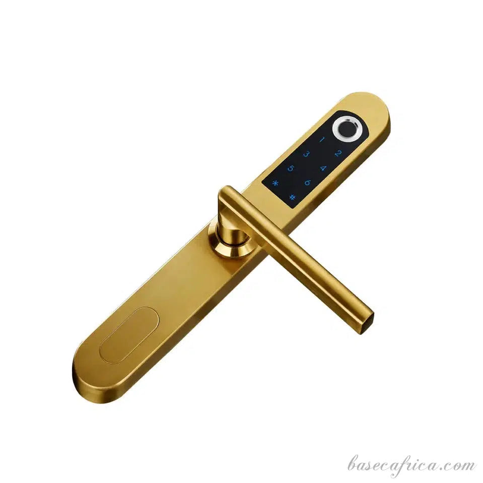 Basec BAS134 Aluminum Smart Lock With Fingerprint, App, Card, Password Etc