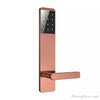 Basec BAS144 Password, Card, Bluetooth, Key Smart Lock