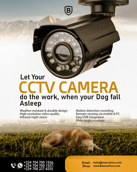 Let Your CCTV Camera Do the Work, When Your Dog Falls Asleep