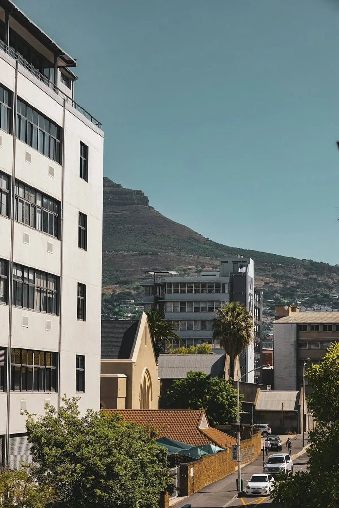 Crowd Control and Access Management: Effective Strategies by Basec Africa