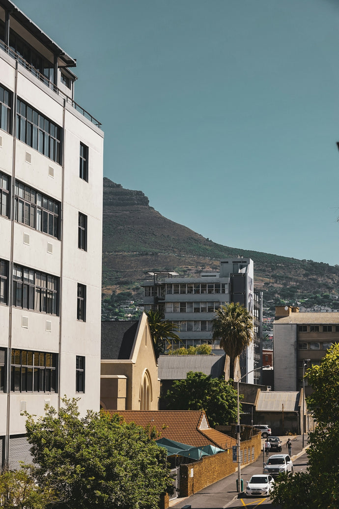 Crowd Control and Access Management: Effective Strategies by Basec Africa