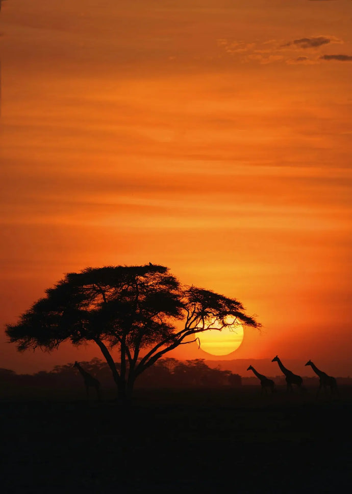 How Digital and Fireproof Safes from Basec Africa Protect Valuable Assets