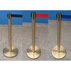 Basec BAS-SPG Gold Stainless Steel Stanchion –Isolated, 1 Pole