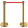 Basec BAS-SPG Gold Stainless Steel Stanchion –Isolated, 2Poles