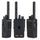 Motorola Dp3441e Walkie Talkie